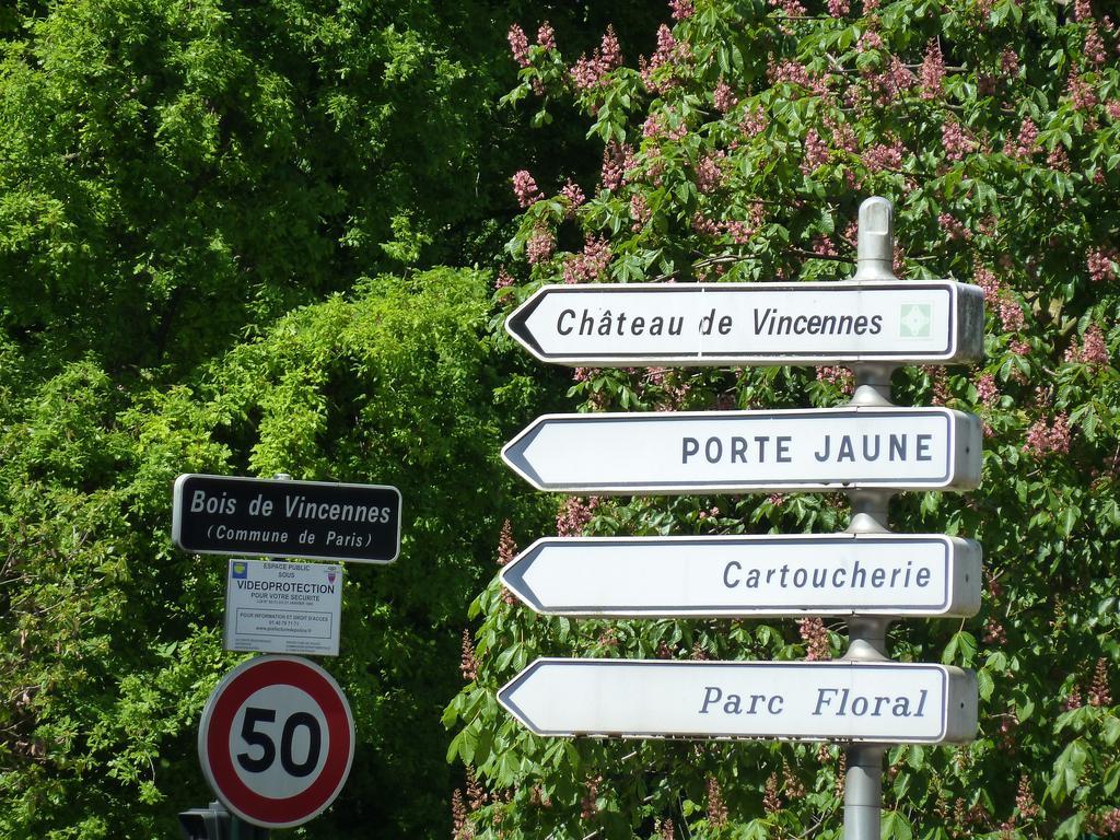 Studios Albri Nogent-sur-Seine Oda fotoğraf